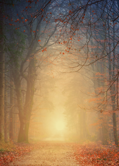 Screenshot 2025-12-22 at 13.50.46